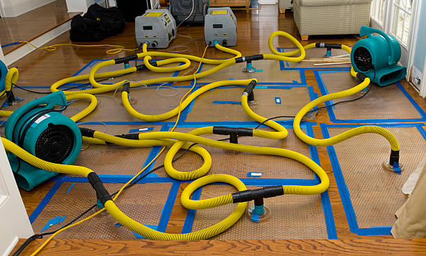 Professional Water Extraction technician working in Arp, TX